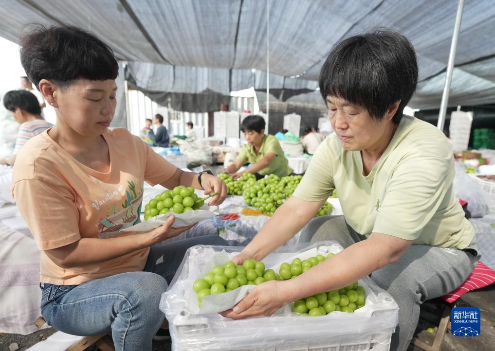 威尼斯网投6146.com